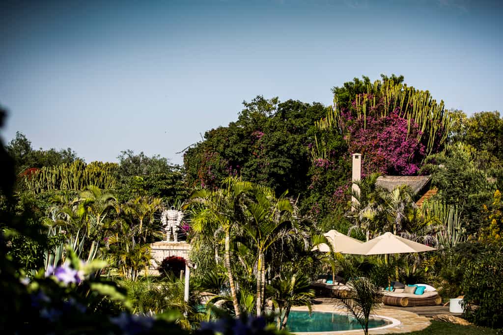 Pool area set among the luscious gardens