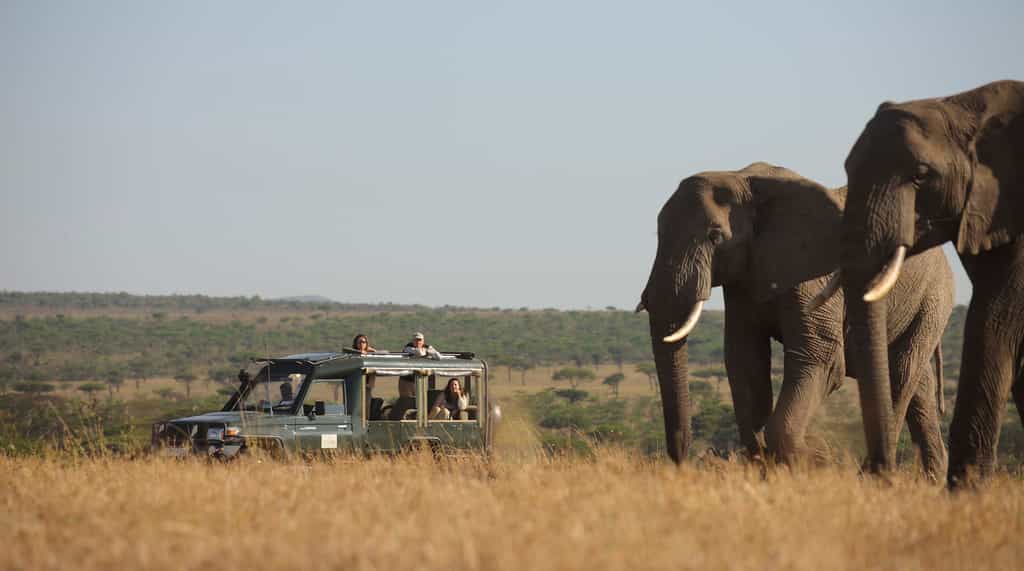 Kicheche Valley Game Drive