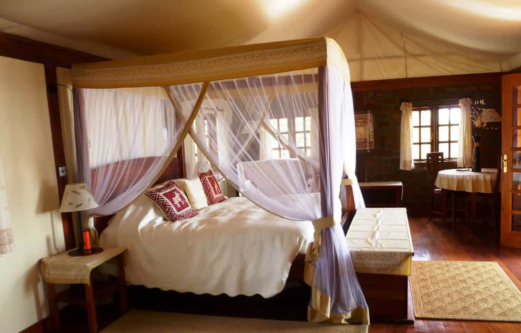 Has just one king size bed instead of two queen sized beds.