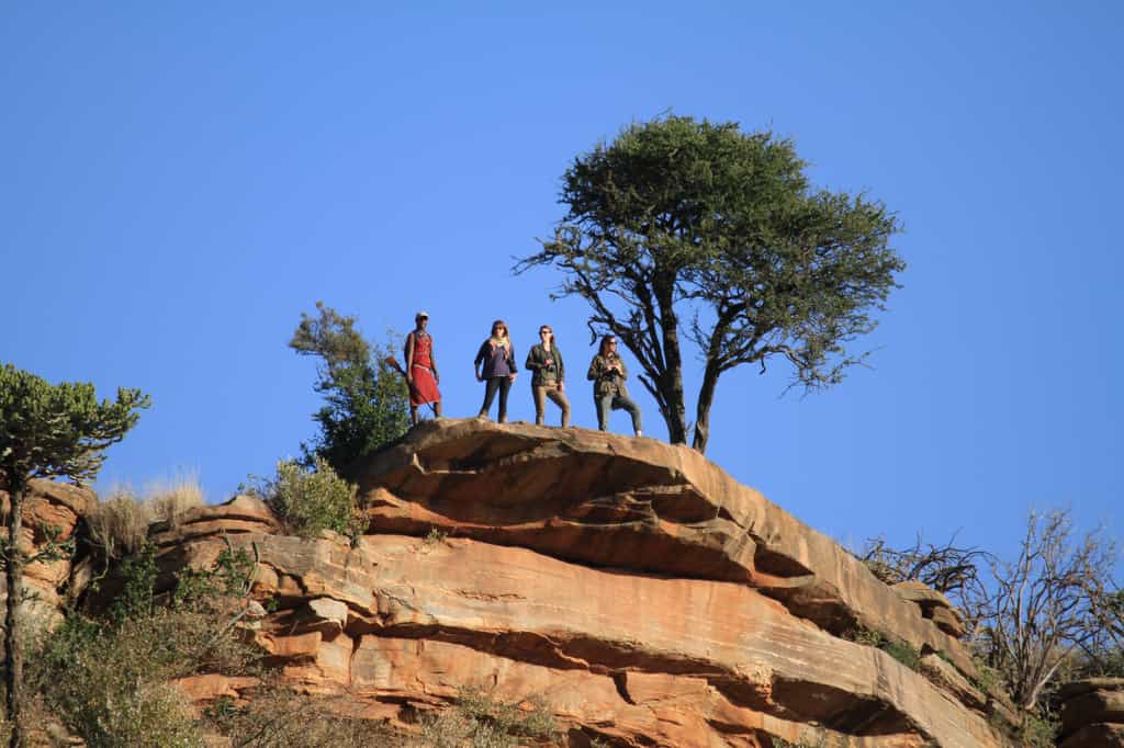 Activities - Walking