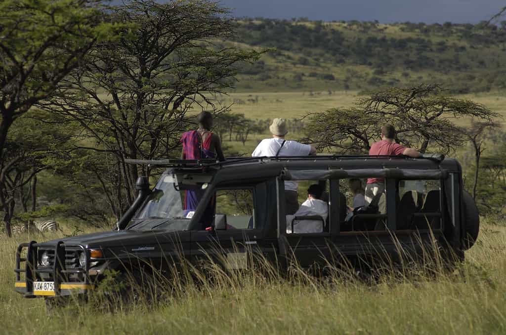 Game drive at Kicheche Bush Camp