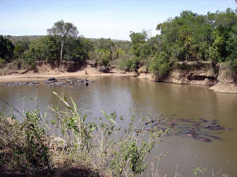 A view of the river from the chalets