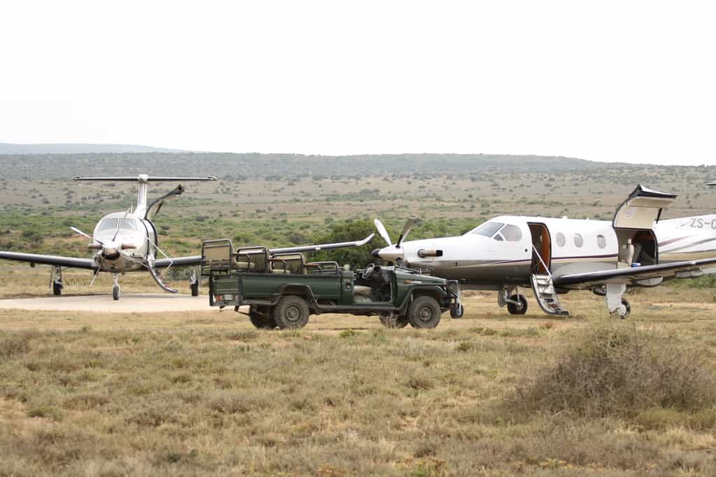 Daily scheduled flights from Port Elizabeth airport onto the Reserve's airstrip or road transfers are available