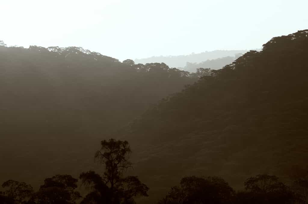 Ngorongoro Conservation Area