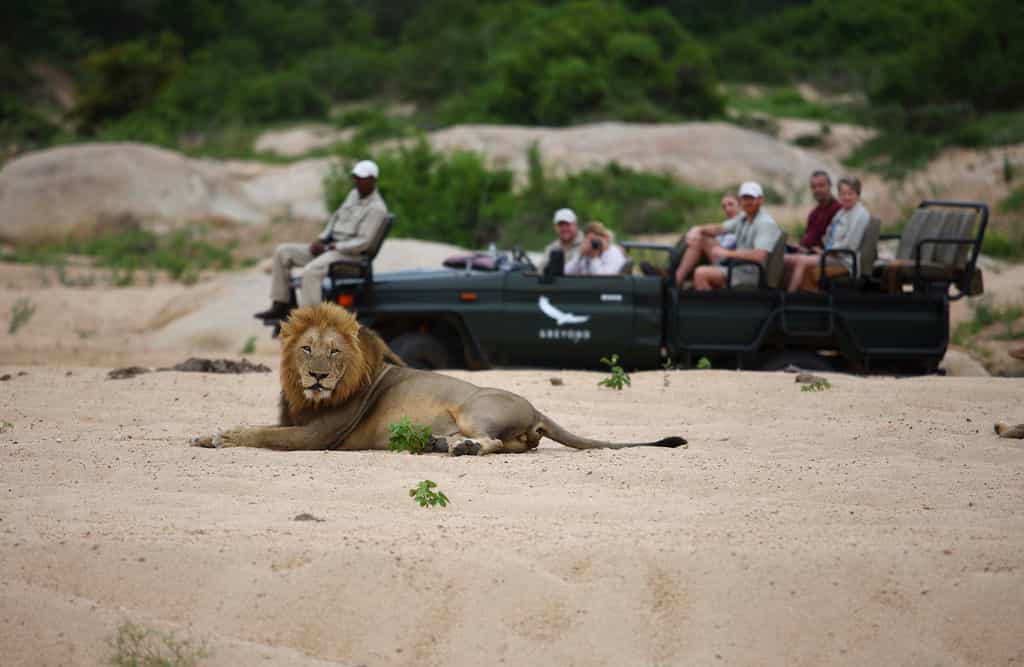 Game Drive