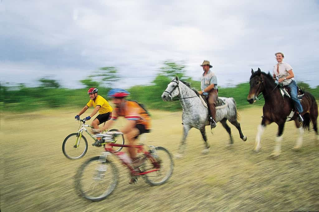 Horse back and cycling safaris