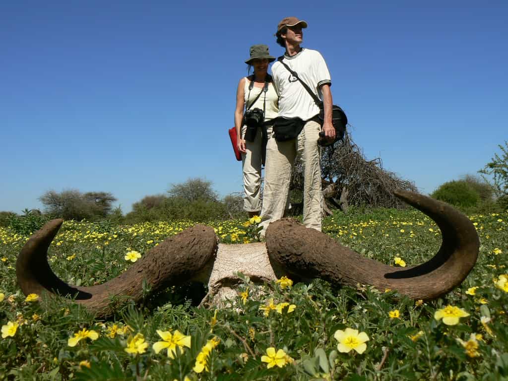 Mashatu Walking Safaris