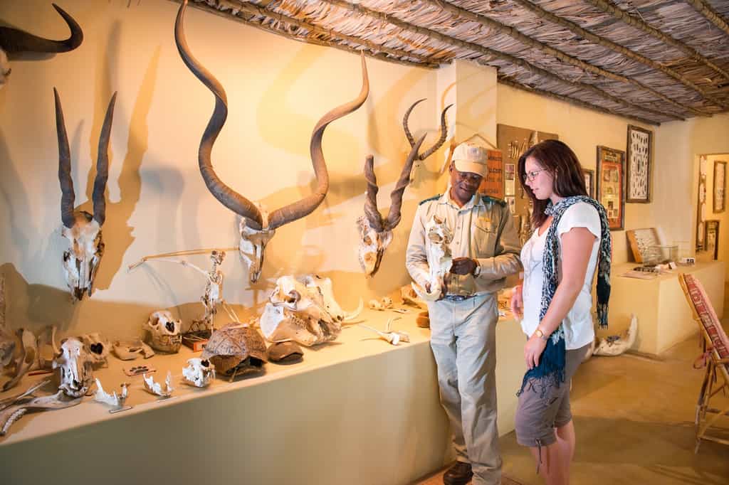 Main Camp Discovery Room