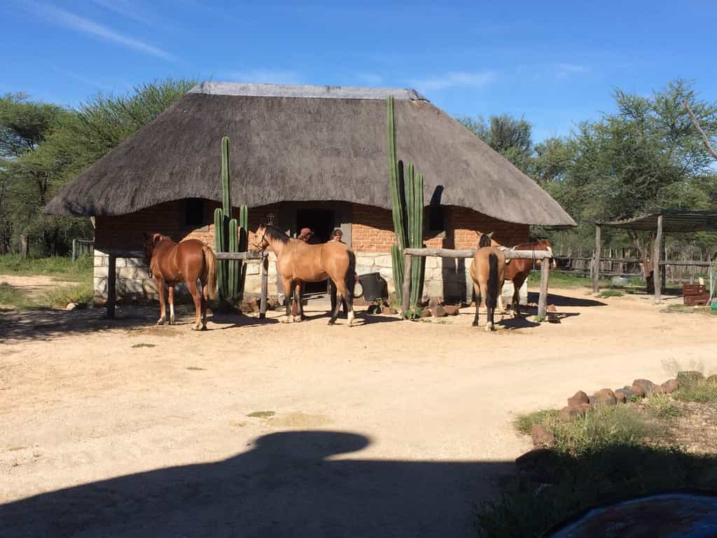 Meeting point and getting ready for horse trails