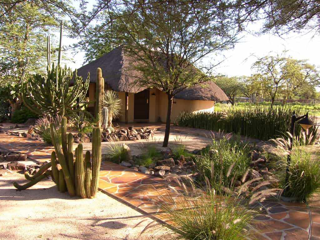Overlooking the beautiful garden