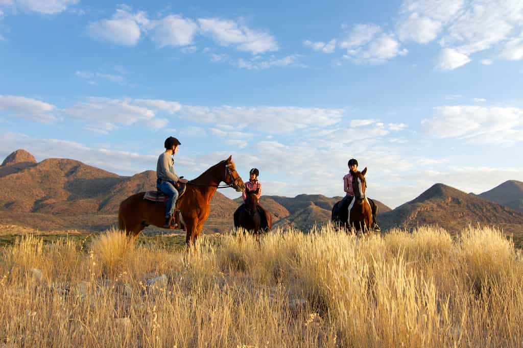 Enjoy nature at its best on horse ride 