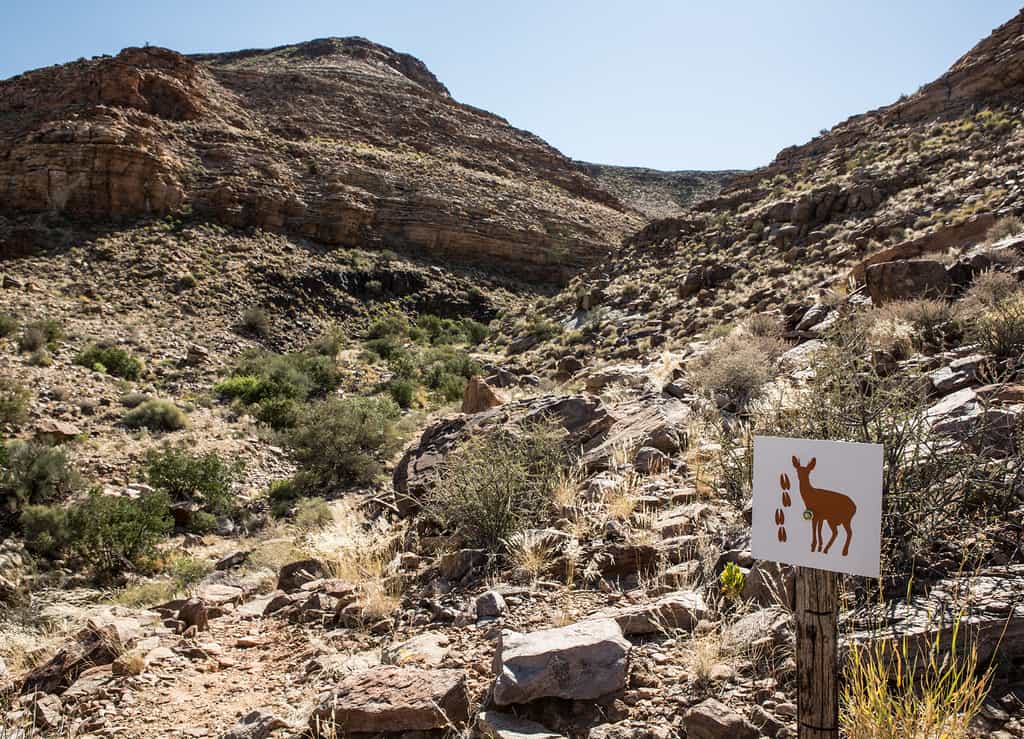 Enjoy the beauty of nature on a walking trail 