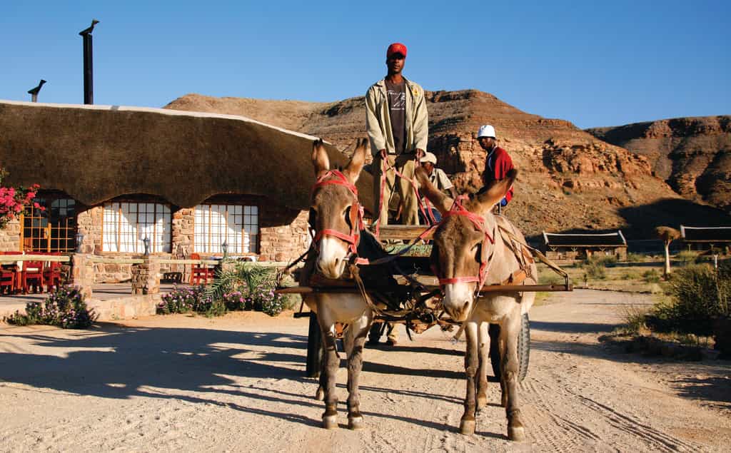 Donkey cart at Canyon Village 