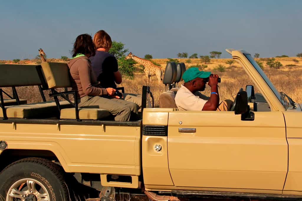 Game drive with sundowners