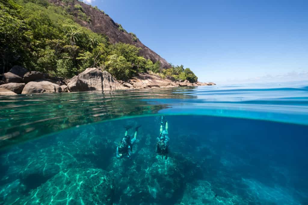 Tree cave dive site at neighbouring island Silhouette