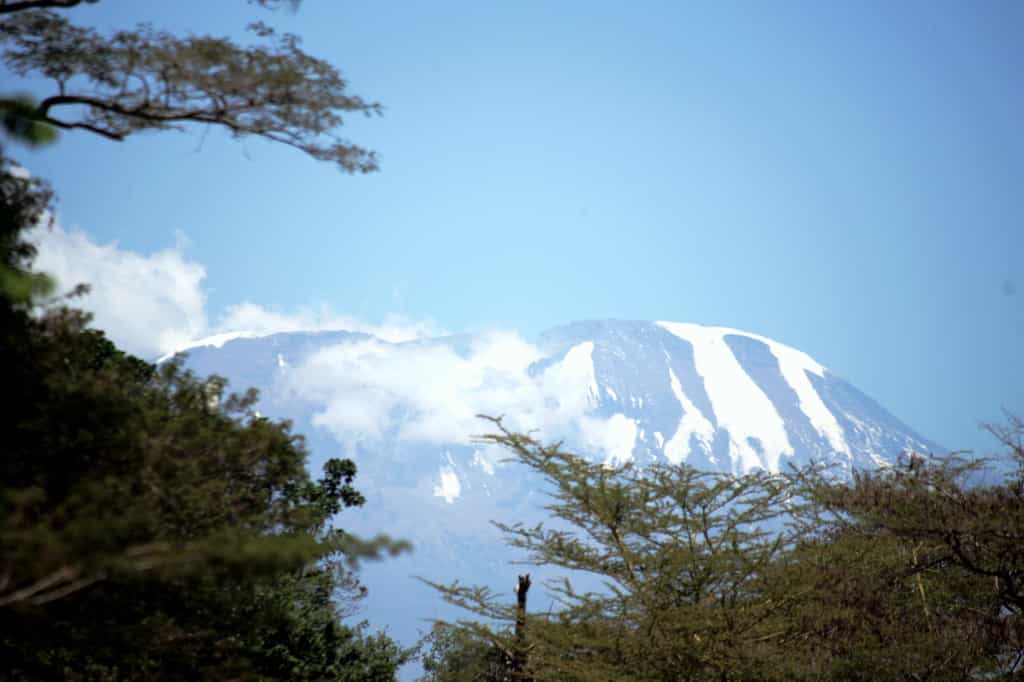 A view of Mt. Kilimanjaro from the grounds of the lodge.