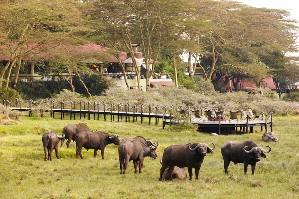 Daly gathering of the old dagger gang 