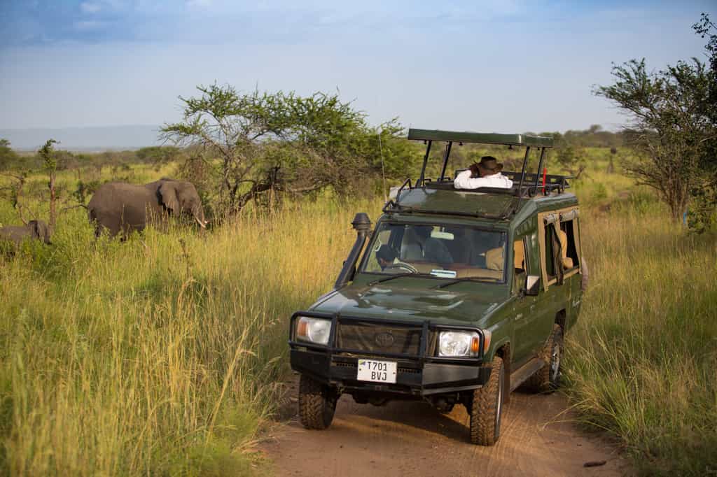Game driving in a private and pristine area of the Serengeti