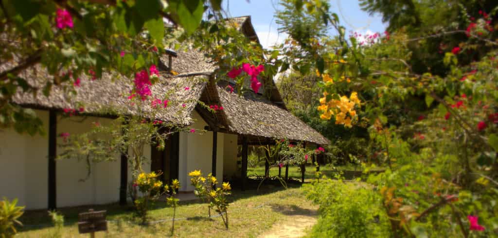 Designed in the style of a sultan’s garden palace with exotic gardens, dining here as the sun goes down is a very special experience.