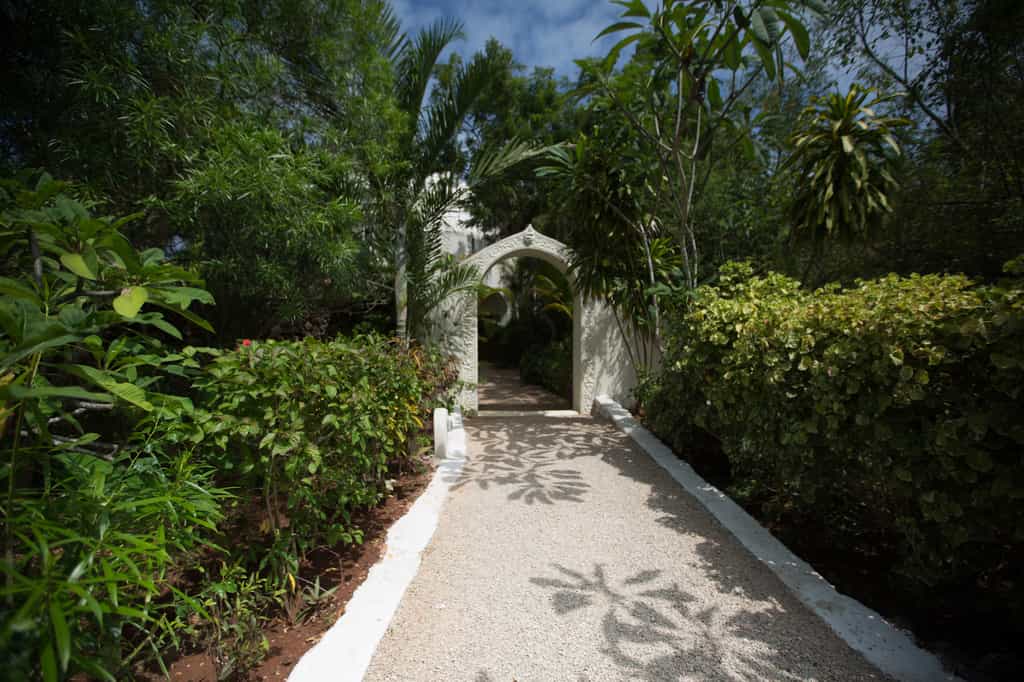 Walkways through the lush gardens of Kilindi