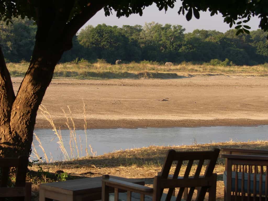 Elephants passing lodge on other side of the river