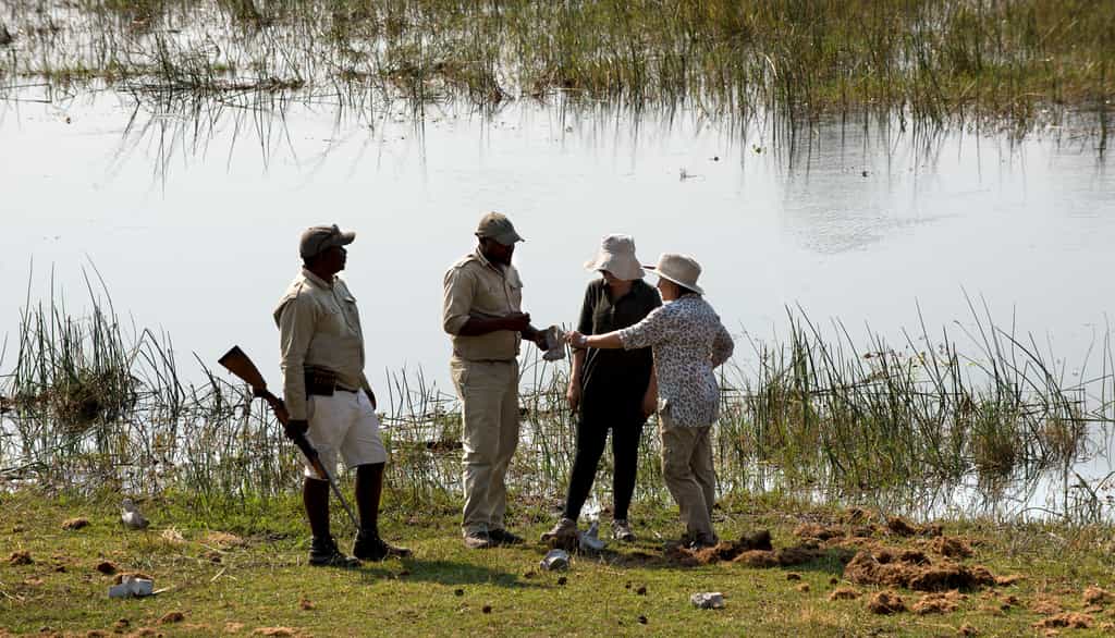 Interpretative Bush Walks