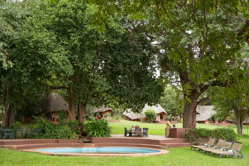 The swimming pool and al fresco eating area nestle under classic riverine trees