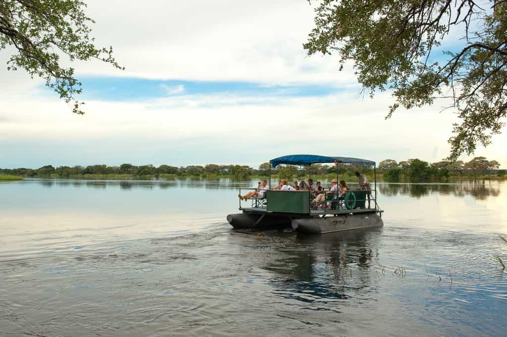Afternoon River Safari on the Zambezi