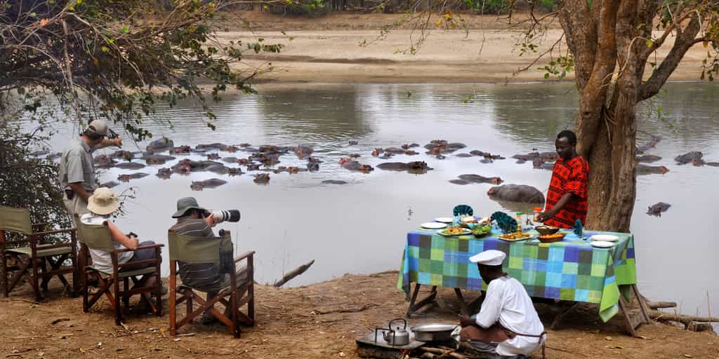 Bush breakfast with some extra guests!