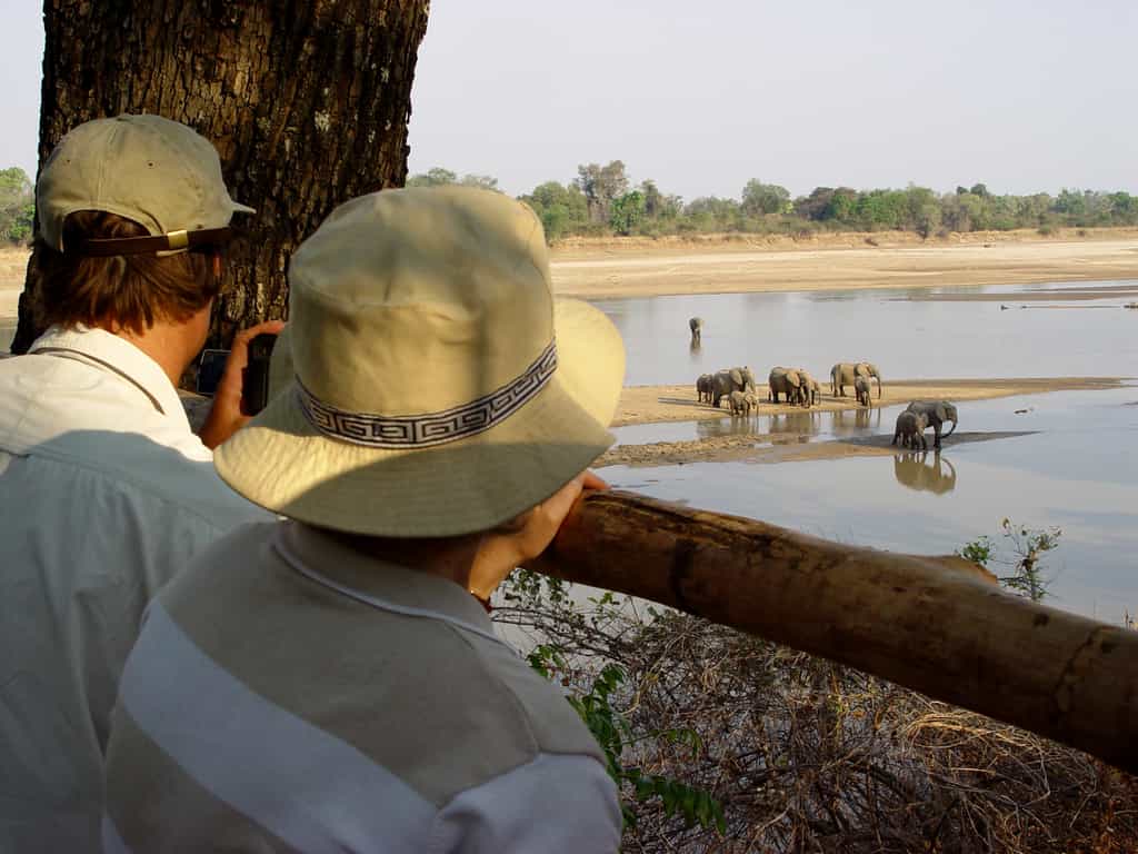 Shenton Safaris is known for its many hides which offer amazing photographic opportunites