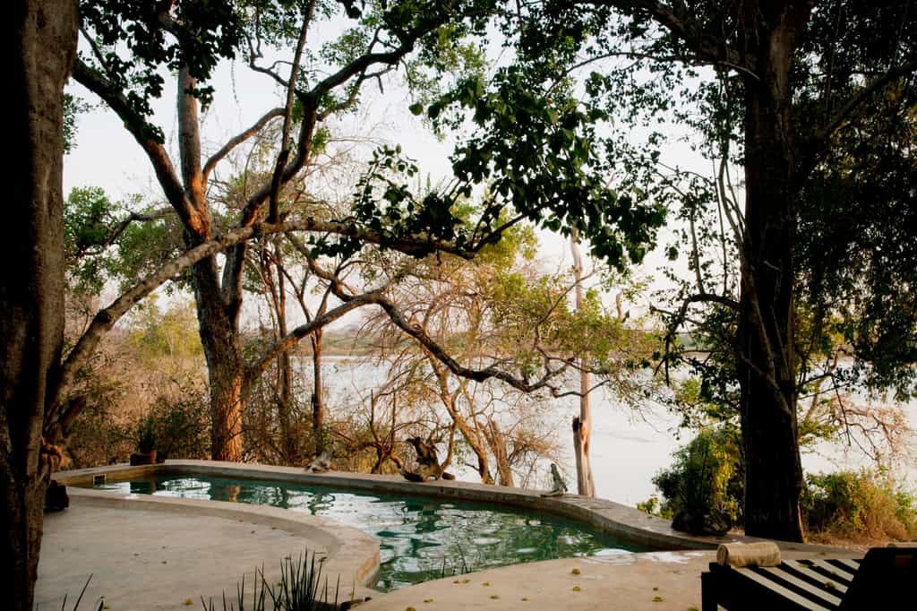Cool off in the pool and enjoy the views over the Rufiji River from your own private camp. 