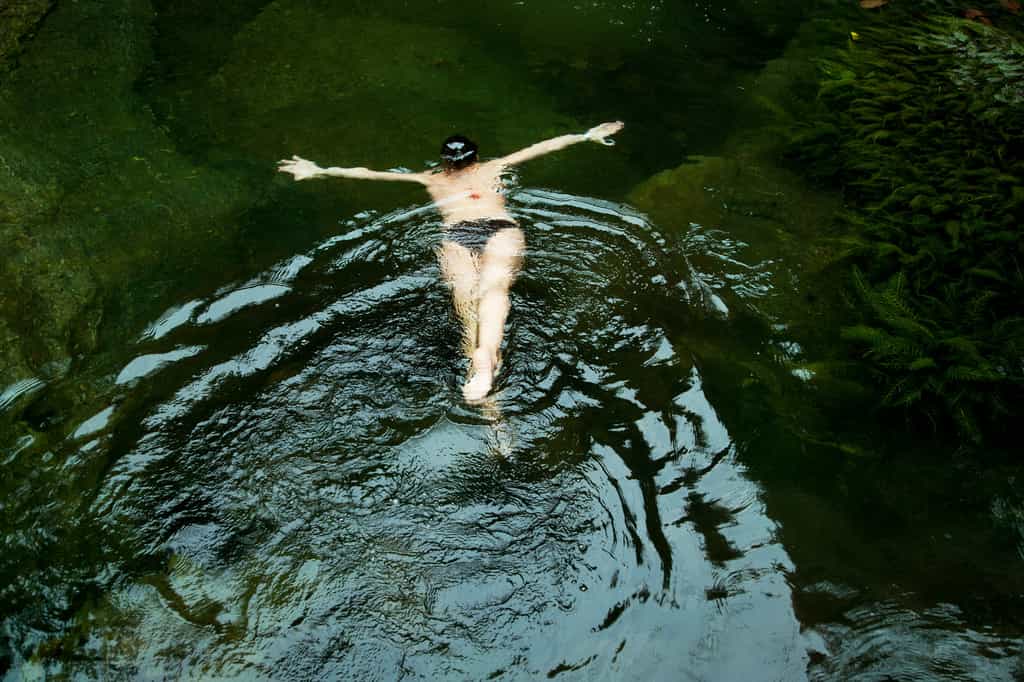 It's not all about the chimps.  The forest is full of life, and little secret places.