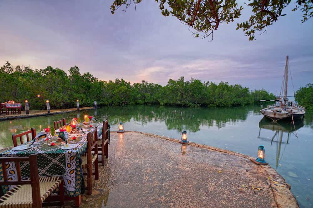 Eating dinner among the mangroves
