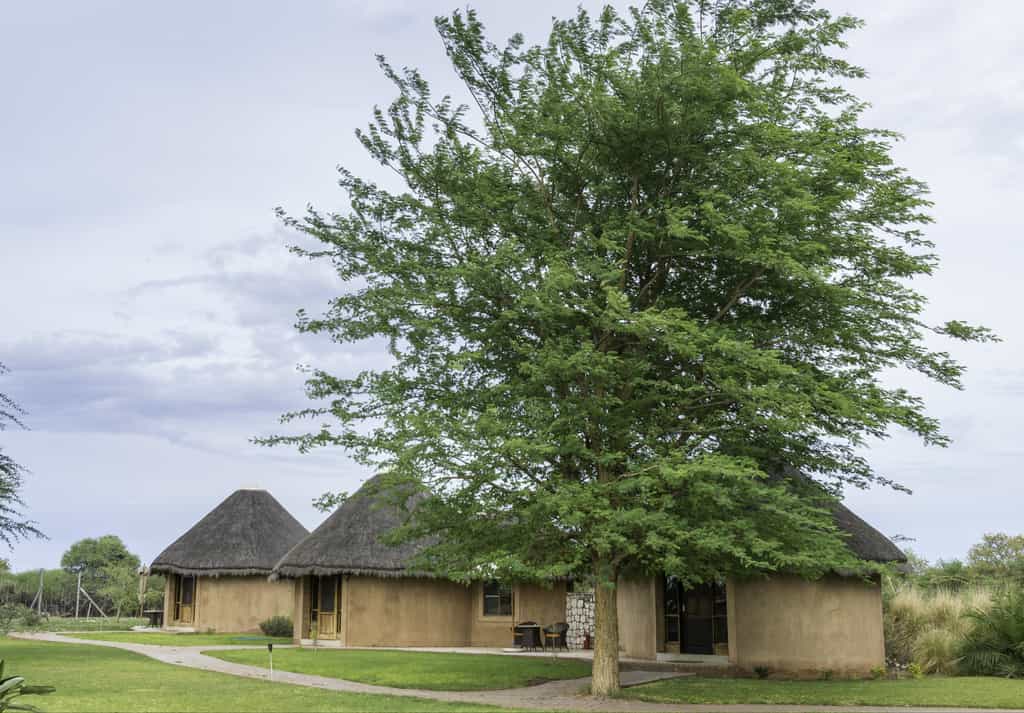 Onguma Bush Camp Rondavels