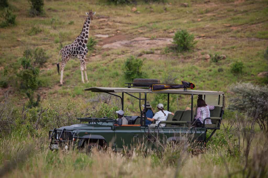 Loisaba boasts a fleet of new custom-designed Land Rover safari vehicles