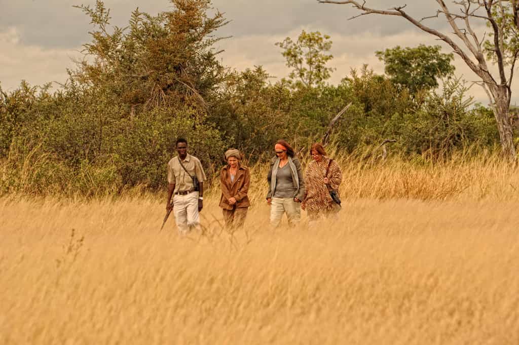 Walking Safari at Somalisa Expeditions 