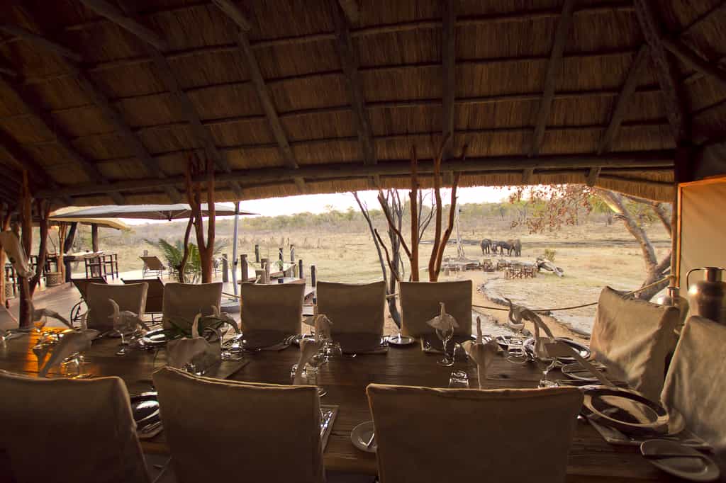 Dining with an African inspired view
