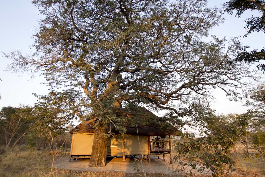 Suites have been built with minimal impact to the surrounding environment and gives guests the feel of wild Africa