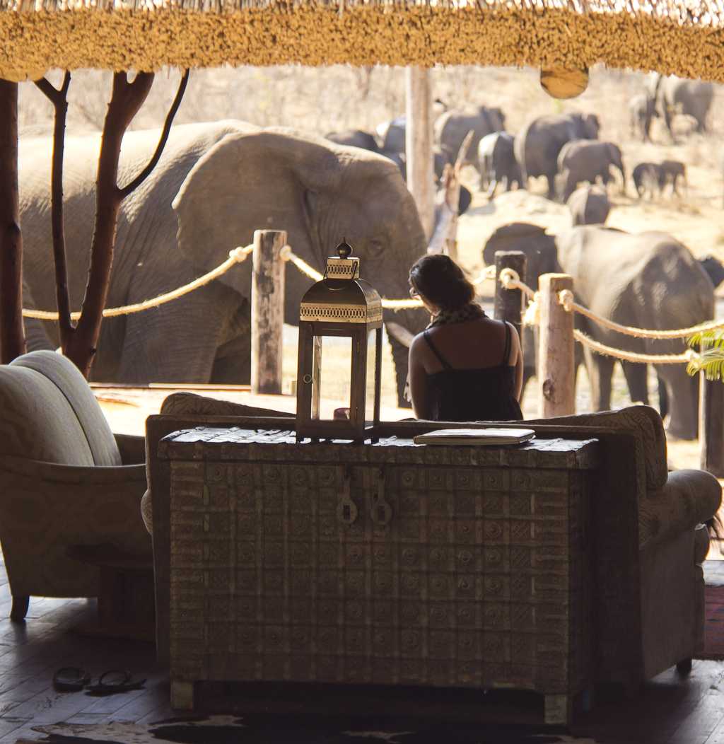 Main area consisting of lounge, outside deck with plunge pool and captains table. 