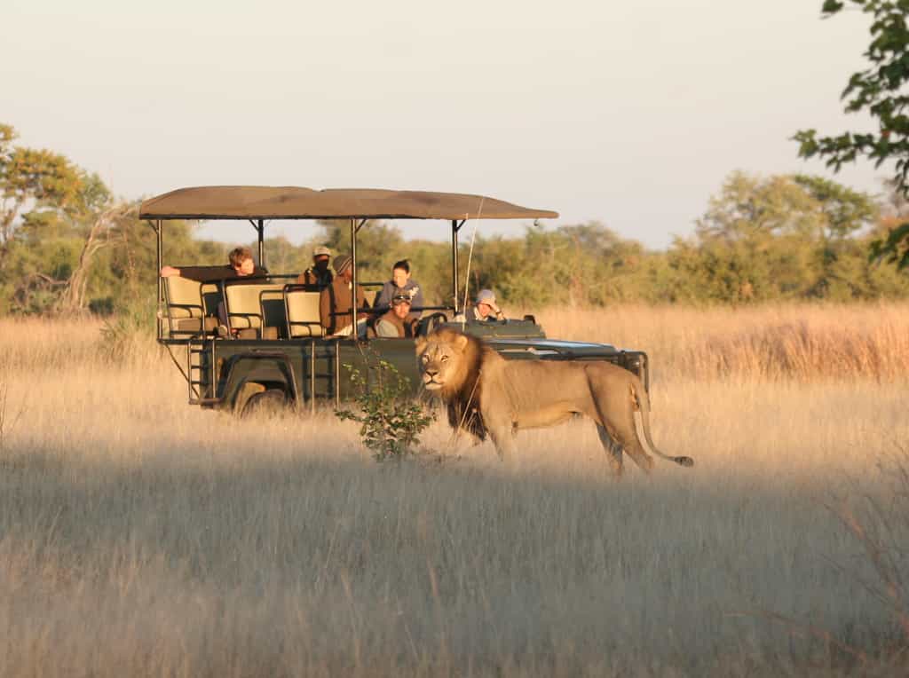 Hwange offers fantastic game drive experiences