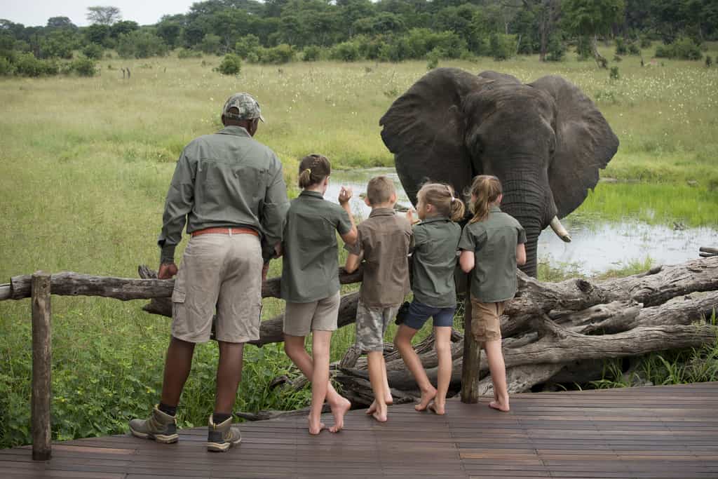 Children Learning from our Professional guides