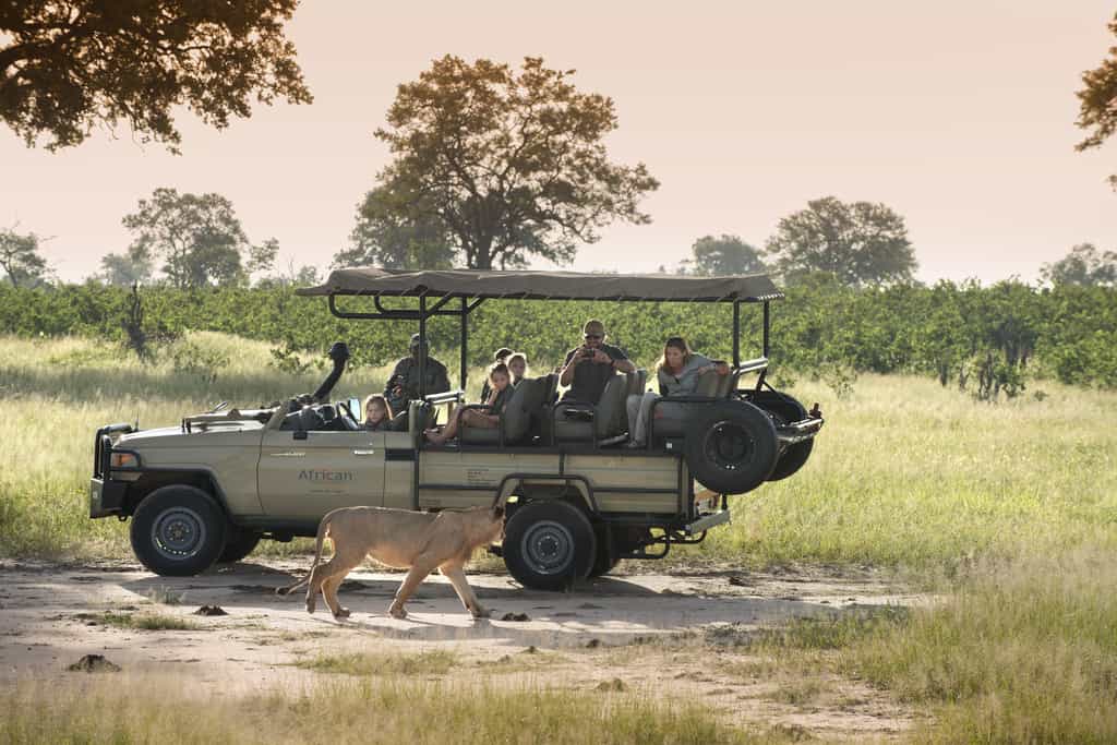 Game Drive
