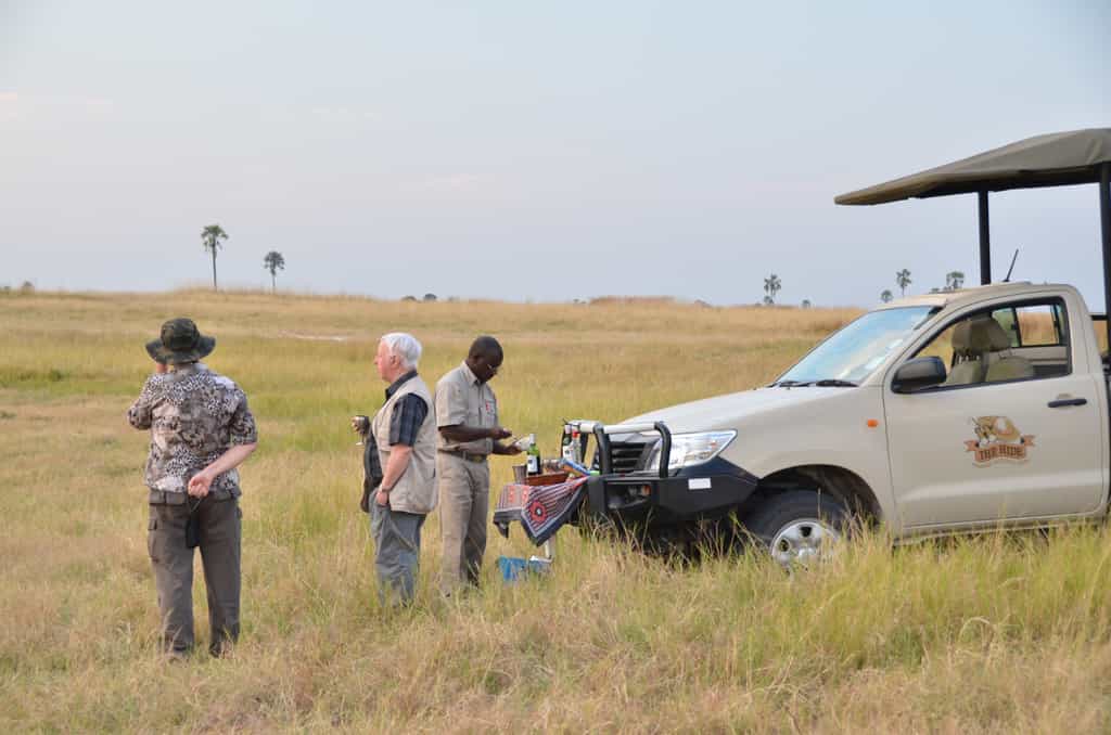 Guided game drives in the morning and afternoon at The Hide