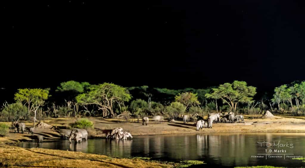 The Hide Waterhole at Night