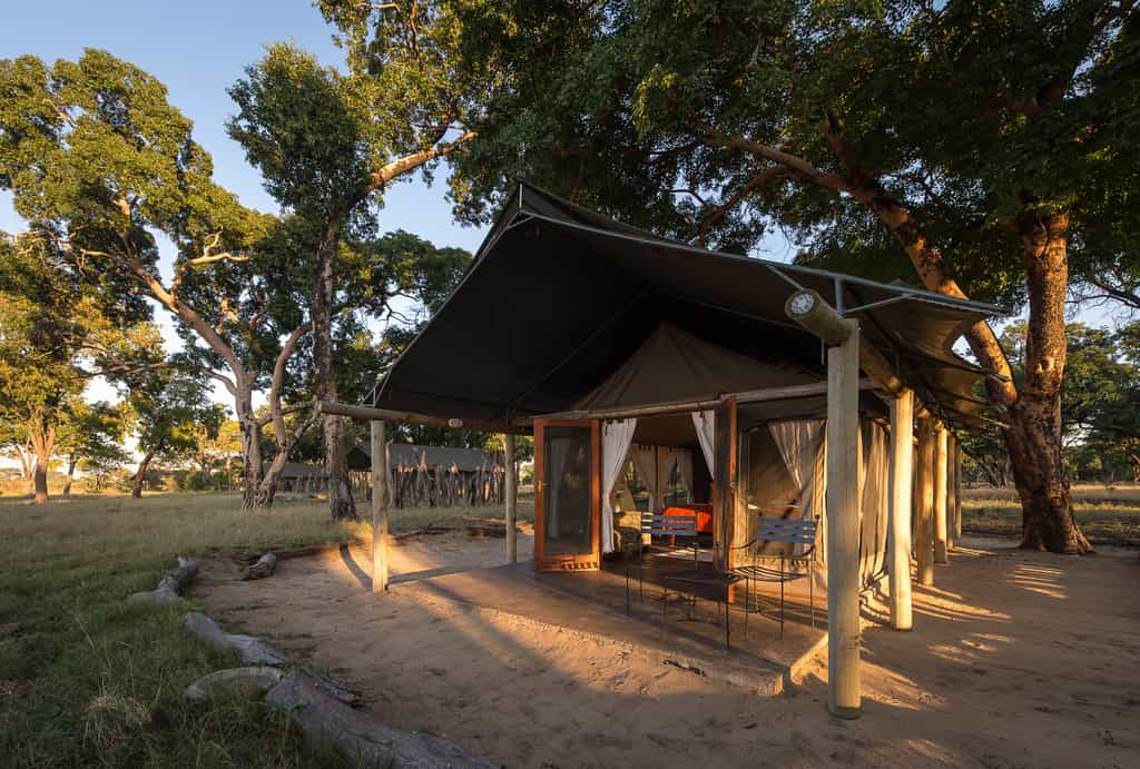 Guest tent under a shady canopy of trees