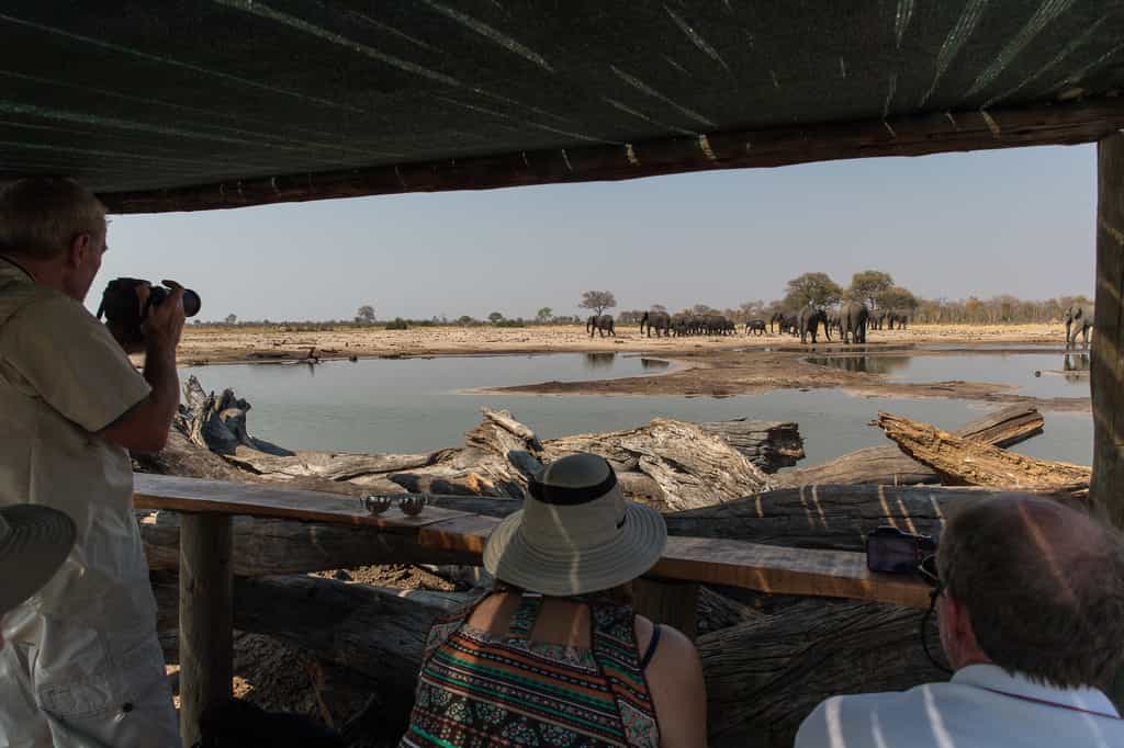 Log-pile hide with elephants at the waterhole