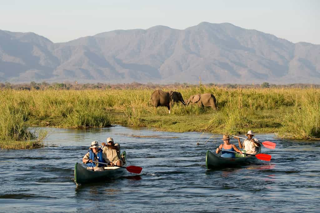Canoeing on the Zambezi is a thrilling adventure