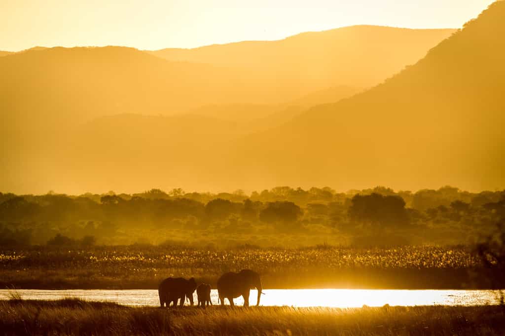 The Zambian escarpment provides a dramatic photographic backdrop, whether at sunrise or sunset