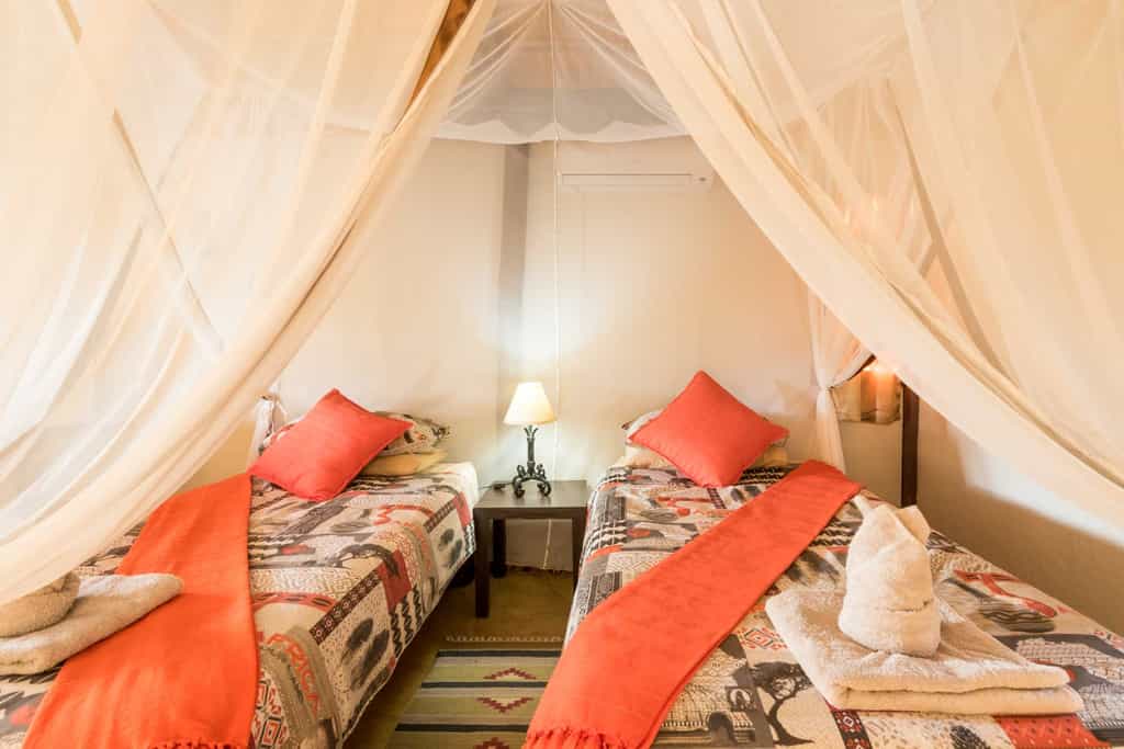 Standard room twin beds