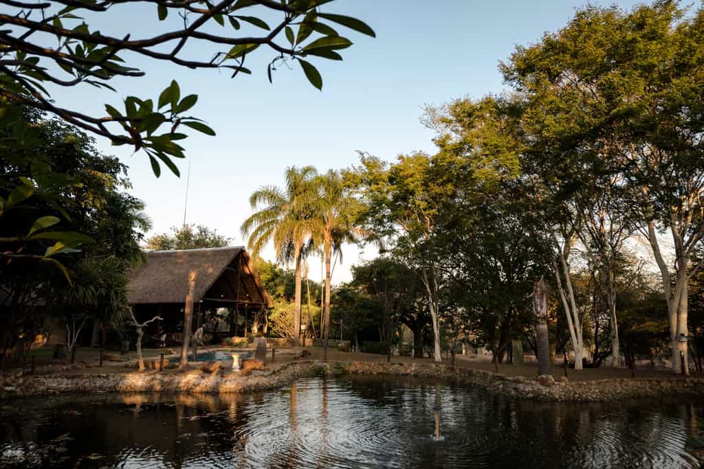 Top Lodge seen across the waterhole